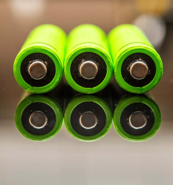 Seeking Sustainability
